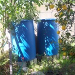 Rainwater harvesting:  Capture and Store devices