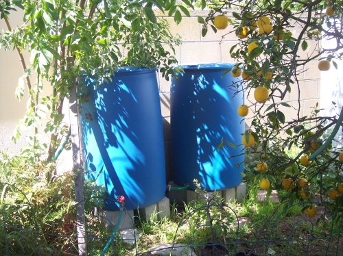 Rain tanks in Joanne's home garden, Los Angeles