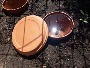 flowerpot olla, with cover to side for photo