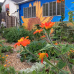 Community Garden at Holy Nativity