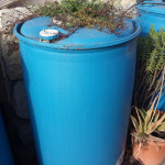 Why Try a Rain Barrel, even if it is so small