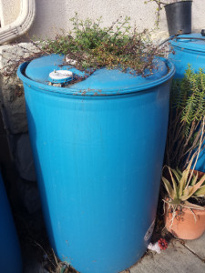 waterbarrel