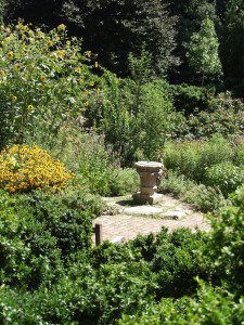 garden by mconnors via Morguefile