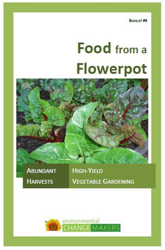 Food from a Flowerpot