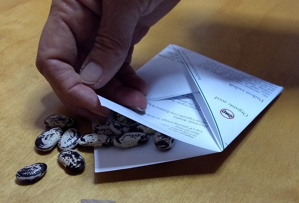 Origami Seed Envelopes