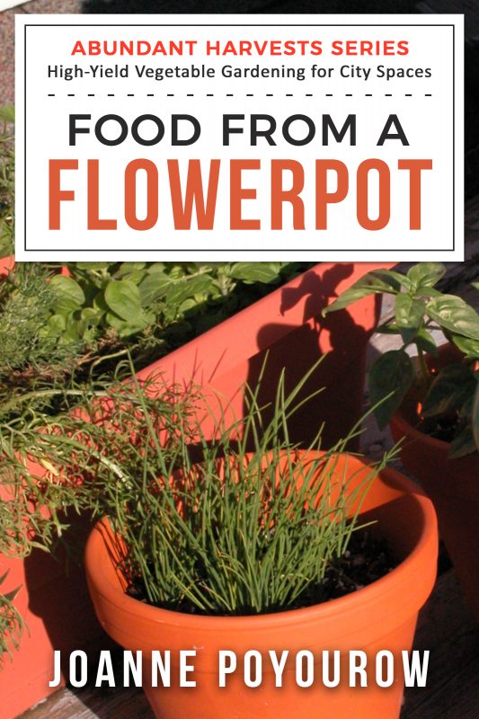 Food from a Flowerpot