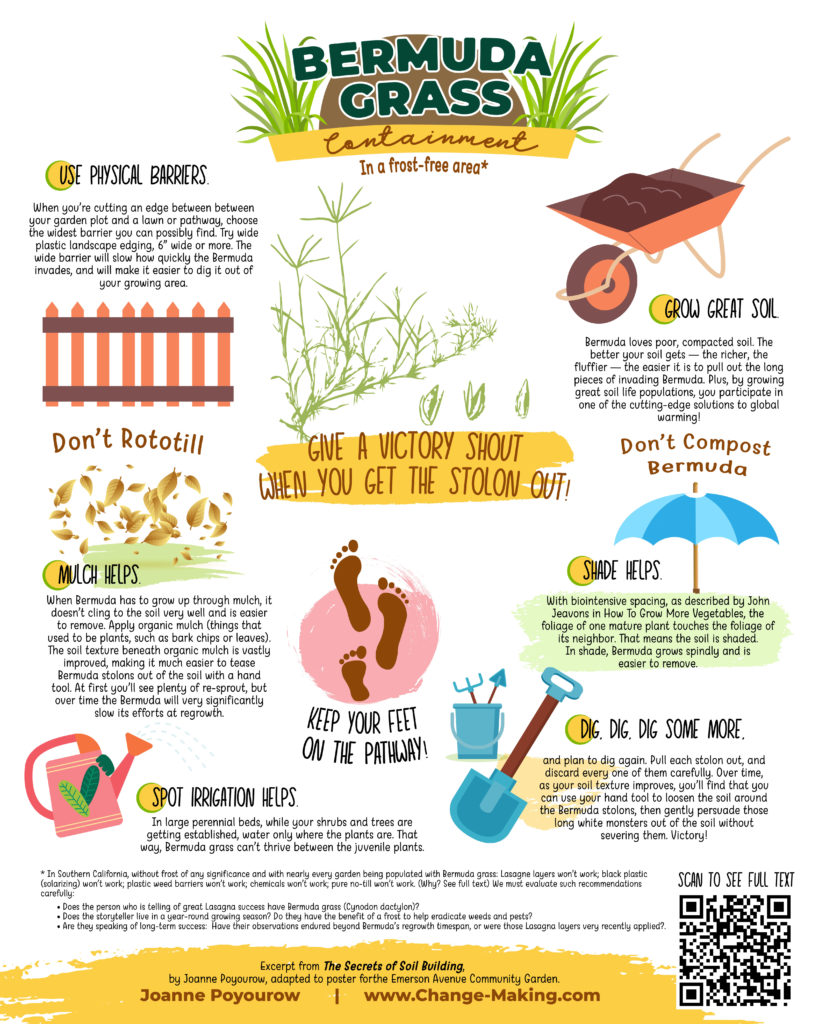 Bermuda grass removal (infographic)